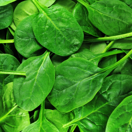 Which Foods Are High In Antioxidan Which Foods Are High In Antioxidan