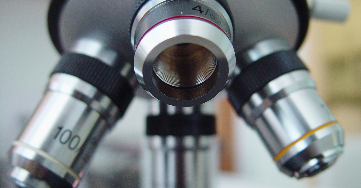 Alcohol Increases Lifespan in Worms RxWiki