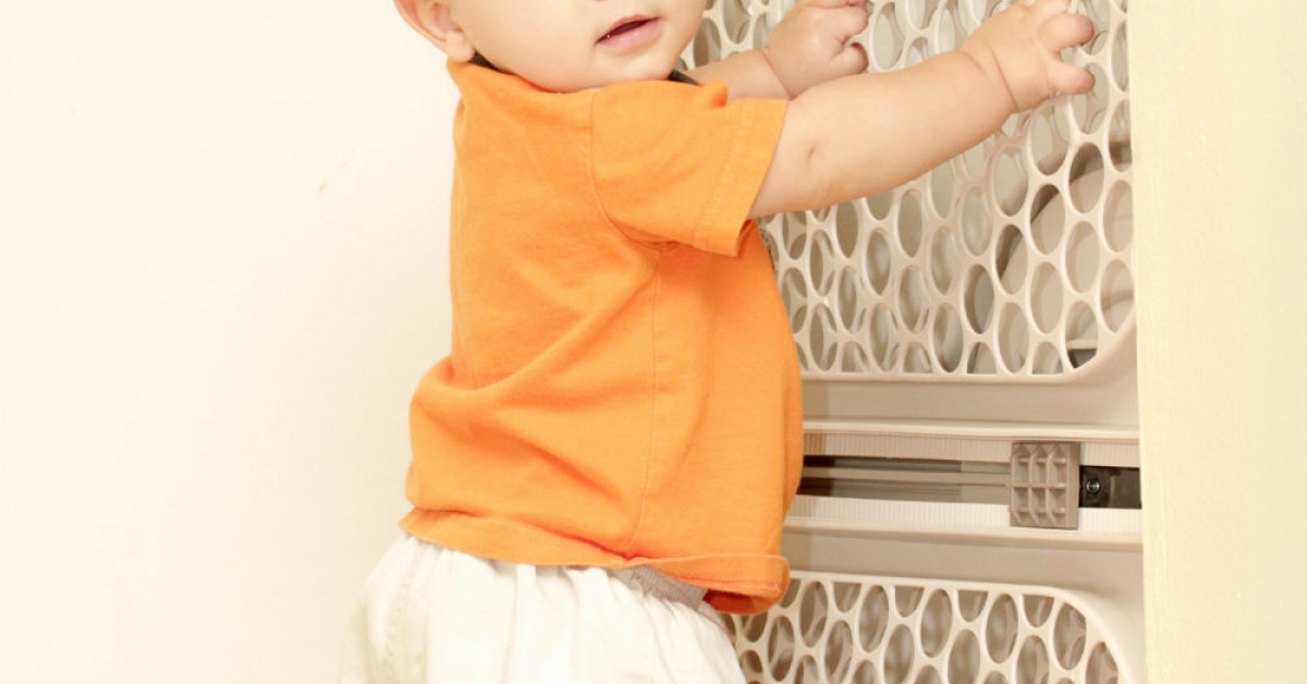 Childproofing Your Home: 8) Install Window Guards and Safety Netting ...